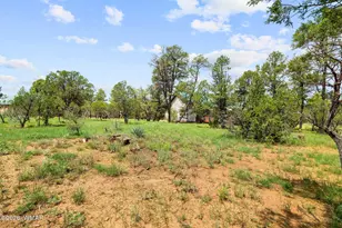 2242 Grizzly Dr, Overgaard, AZ 85933 - Photo 30