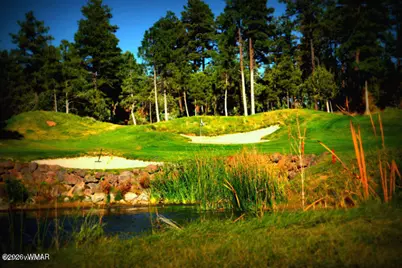 884 Turkey Trail, Lakeside, AZ 85929 - Photo 42