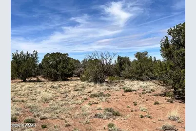 3845 Apache Road, Snowflake, AZ 85937 - Photo 1