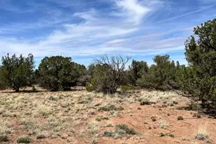 3845 Apache Rd, Snowflake, AZ 85937 - Photo 1
