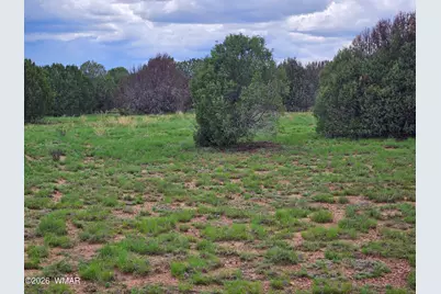 Tbd Birdwing Lane, Clay Springs, AZ 85923 - Photo 12