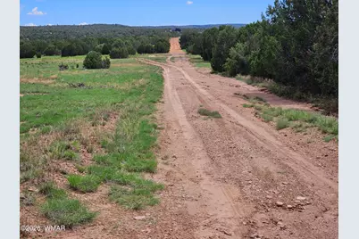 Tbd Birdwing Lane, Clay Springs, AZ 85923 - Photo 16