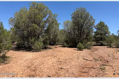 1128 Sapphire Lane, Show Low, AZ 85901 - Photo 6