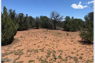 1128 Sapphire Lane, Show Low, AZ 85901 - Photo 4