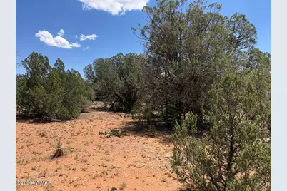 1128 Sapphire Lane, Show Low, AZ 85901 - Photo 4
