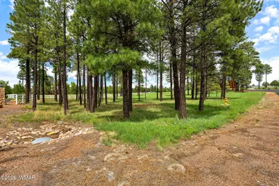 2254 Brown Bear Circle, Overgaard, AZ 85933 - Photo 16