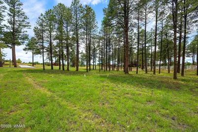 2254 Brown Bear Circle, Overgaard, AZ 85933 - Photo 18