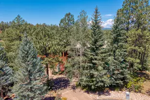 2142 E Snowflake Dr, Pinetop, AZ 85935 - Photo 52