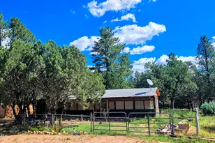 2863 Pine Rim Rd, Overgaard, AZ 85928 - Photo 4