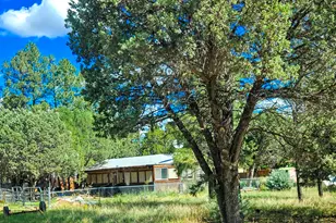 2863 Pine Rim Rd, Overgaard, AZ 85928 - Photo 2