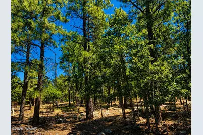[Address not provided], Lakeside, AZ 85929 - Photo 10