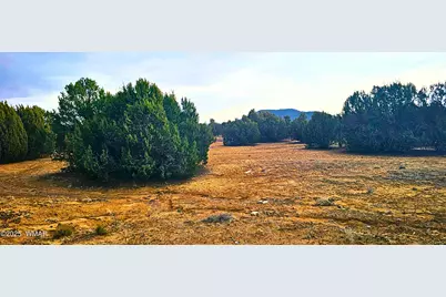 55 N Country Club Drive, Concho, AZ 85924 - Photo 26