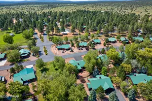 2334 S Buffalo Loop, Overgaard, AZ 85933 - Photo 42