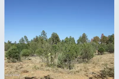 Lot C Lamb Drive, Pinedale, AZ 85934 - Photo 6