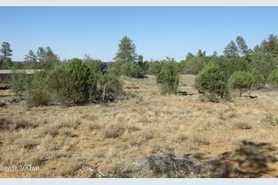 Lot C Lamb Drive, Pinedale, AZ 85934 - Photo 2