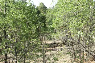 Lot C Lamb Dr, Pinedale, AZ 85934 - Photo 1