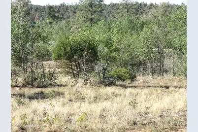 Lot C Lamb Drive, Pinedale, AZ 85934 - Photo 8
