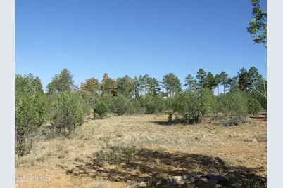 Lot C Lamb Drive, Pinedale, AZ 85934 - Photo 4