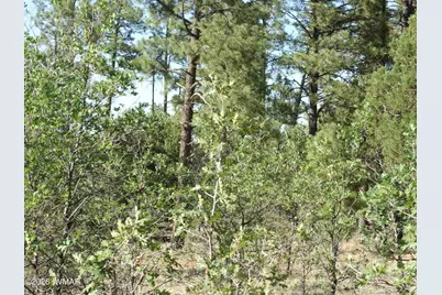 Lot C Lamb Drive, Pinedale, AZ 85934 - Photo 10