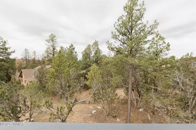 3326 Homestead Drive, Overgaard, AZ 85933 - Photo 30