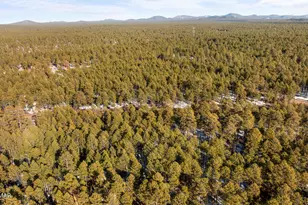 2627 Douglas Fir Dr, Pinetop, AZ 85935 - Photo 30