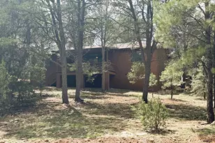 3300 Panorama Dr, Heber, AZ 85928 - Photo 2