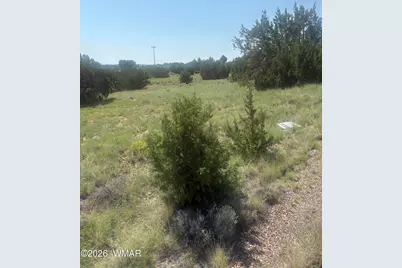 5064 Concho Drive, Unit 385 #385, Concho, AZ 85924 - Photo 4