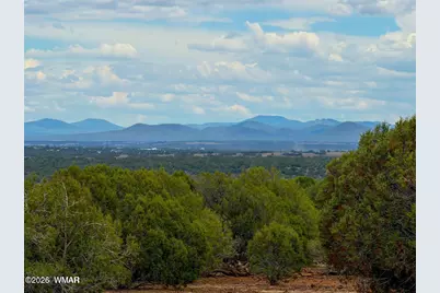 8087 Mustang Ln 20 Acres, Show Low, AZ 85901 - Photo 2