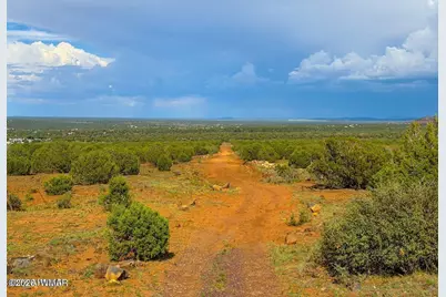 8087 Mustang Ln 20 Acres, Show Low, AZ 85901 - Photo 16