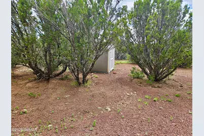 29 Co Rd 3199, Vernon, AZ 85940 - Photo 8