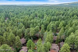 4455 Resort Loop, Pinetop, AZ 85935 - Photo 32