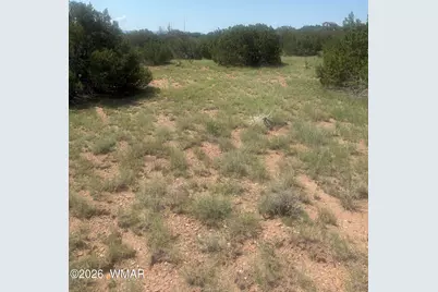 57 Navajo Drive, Concho, AZ 85924 - Photo 4