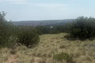 5070 Pina Dr Unit 25, Concho, AZ 85924 - Photo 1