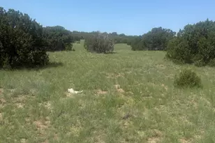 145 Zuni Dr, Concho, AZ 85924 - Photo 1