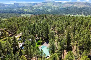 529 County Rd 1122, Greer, AZ 85927 - Photo 8