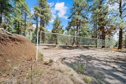529 County Road 1122, Greer, AZ 85927 - Photo 58