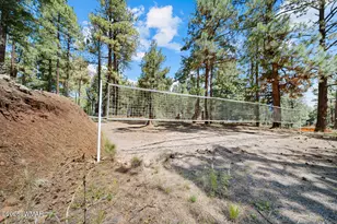529 County Rd 1122, Greer, AZ 85927 - Photo 58