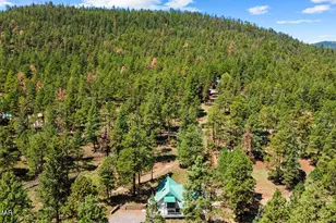 529 County Rd 1122, Greer, AZ 85927 - Photo 22