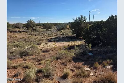 3736 Bum Heel Ranch Road, Heber, AZ 85928 - Photo 8
