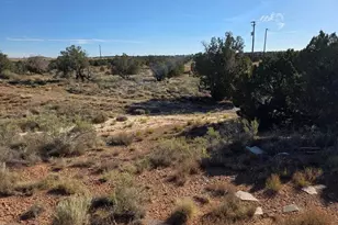 3736 Bum Heel Ranch Rd, Heber, AZ 85928 - Photo 8