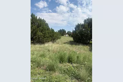 31 Commercial Drive, Concho, AZ 85924 - Photo 1