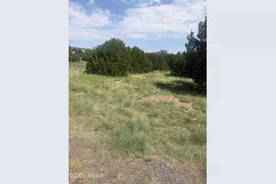 31 Commercial Drive, Concho, AZ 85924 - Photo 4
