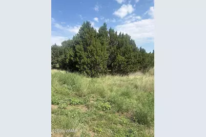31 Commercial Drive, Concho, AZ 85924 - Photo 2