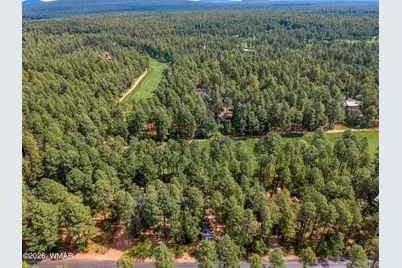 2864 Woodpecker Lane, Pinetop, AZ 85935 - Photo 44