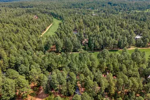 2864 Woodpecker Ln, Pinetop, AZ 85935 - Photo 44