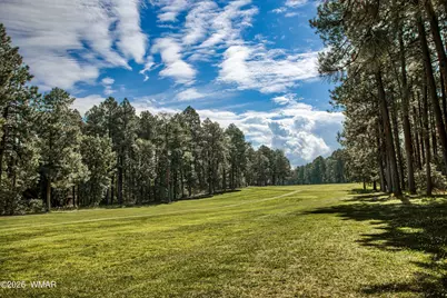 2864 Woodpecker Lane, Pinetop, AZ 85935 - Photo 40