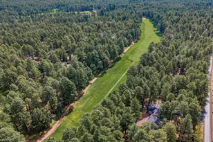 2864 Woodpecker Ln, Pinetop, AZ 85935 - Photo 1
