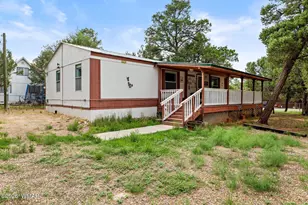 2125 Fishermans Rd, Overgaard, AZ 85933 - Photo 2