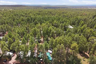 547 E White Mountain Blvd, Pinetop, AZ 85935 - Photo 28