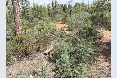3352 Pine Needle Drive, Show Low, AZ 85901 - Photo 6